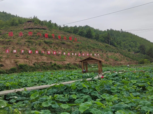 1757465086781343.jpeg 111_副本.jpg