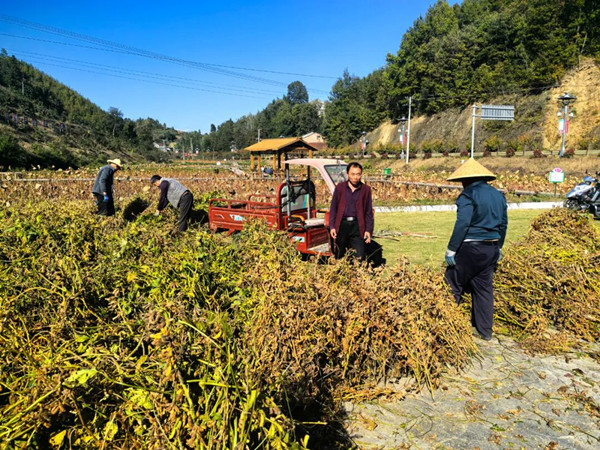 1757465099799542.jpeg 222_副本.jpg