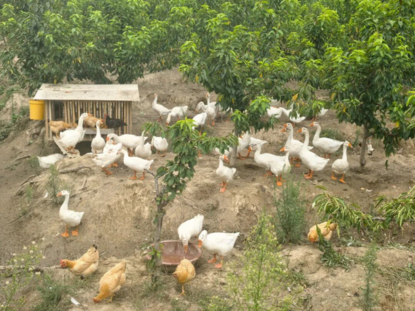 1757465113128799.jpeg 333_副本.jpg