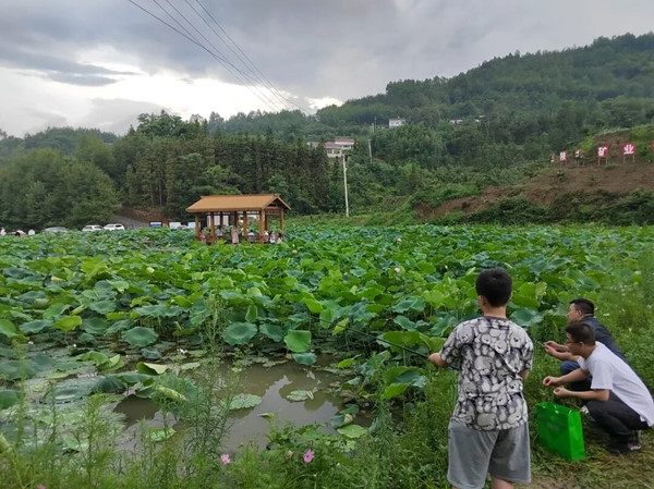 1757465127579408.jpeg 444_副本.jpg