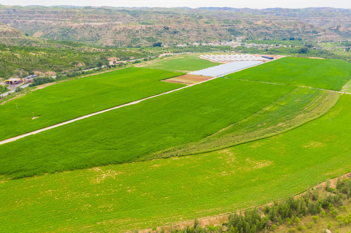 1761091308542017.jpeg 龙华生态示范园.jpg