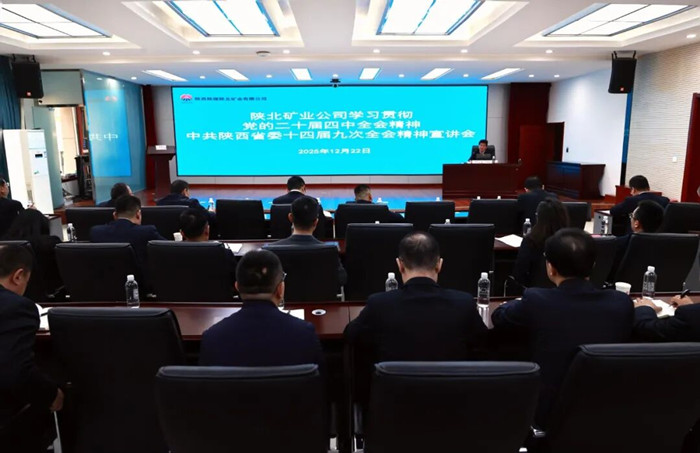 1766537147195232.jpeg 33.jpg