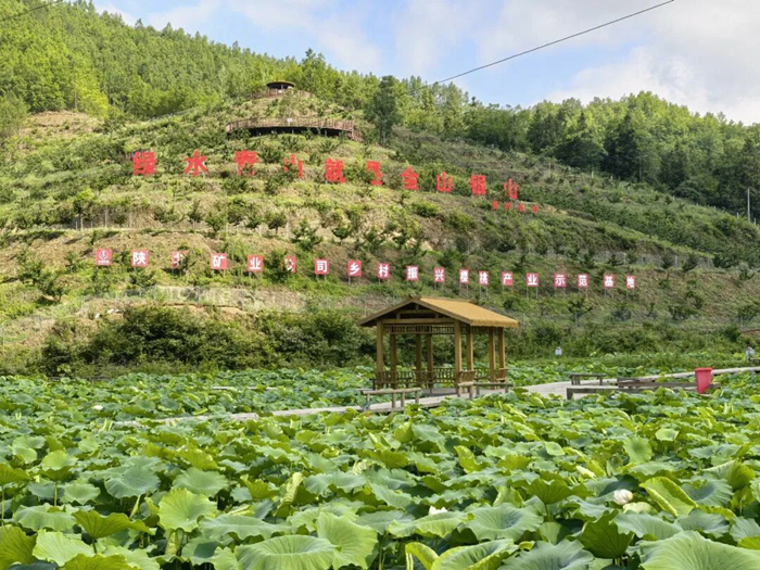 1772118547699305.jpeg 33.jpg