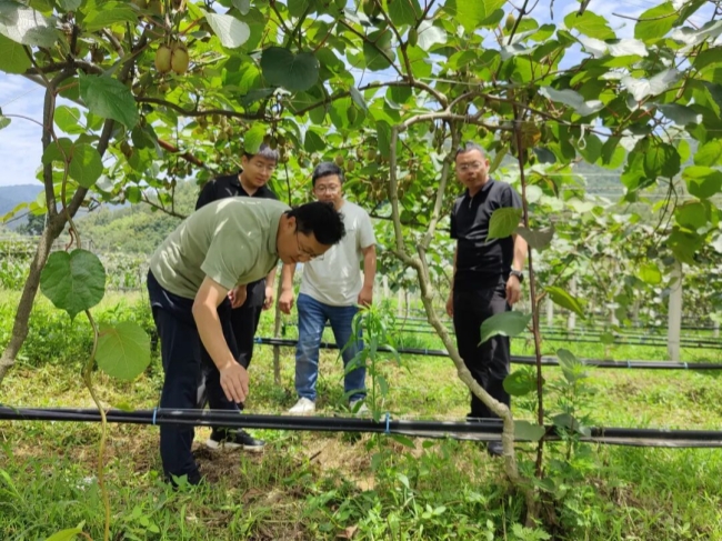 1789206671756943.jpeg 惠民落地温暖民心.jpg